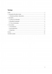 www.speros.lt